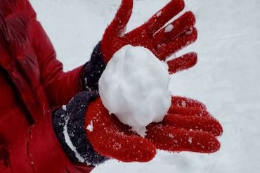 9799573b600e6184d3db1e8a9916834d